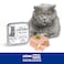 Lechat Fresh by Monge   Cat Wet Food with Duck   Super Premium Complementary Wet Cat Food   Pat&egrave; &amp; Chunkies in Alutray - 100g