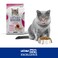 Lechat Excellence by Monge   Kitten Dry Food with Chicken, Rice, Egg and Apple   Super Premium Complementary Dry Kitten Food - 400g