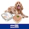 Special Dog Excellence by Monge   Senior Light Dog Wet Food with Chicken &amp; Turkey   Super Premium Complementary Wet Dog Food   Pat&egrave; in Alutray - 150g