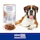 Special Dog Excellence by Monge   Senior Dog Wet Food with Chicken   Super Premium Complementary Wet Dog Food   Chunkies in Pouch - 100g