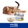 Lechat Excellence by Monge   Sterilised Cat Wet Food Rich in Chicken and Liver   Super Premium Complementary Wet Cat Food   Mousse in Can- 85g