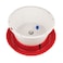 Novital 12 L Tank Drinker for Chicken, Chicks, Guinea, Quail, Turkey and All Types of Birds (Made in Italy)