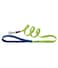 Ferplast Club G Colours Leash [Color - Green, Dimension - 15Mm X L 120Cm]