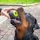 Ferplast Chewa Boing Treat Dispenser Ball Dog Toy Large, ?8 Cm - 3.1 Inch - 86659099