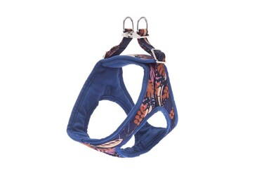 Ferribiella Kami Harness Small &ndash; Blue