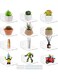 Acrylic Small Adhesive Wall Shelves, Mini Floating Shelves, Acrylic Display Shelves, Ledges For Pop Figures, Plant, Picture Photo Modern Wall For Bedroom Decor Living Room (12 Pcs 3.9" - Clear)