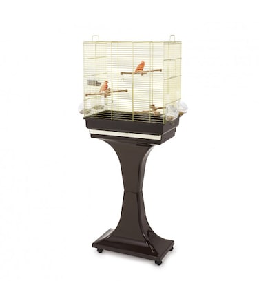 IMAC Camilla Bird Cage With Stand &ndash; Ideal Habitat for Canaries, Parakeets &amp; Small Exotic Birds Size: 50 x 30 x 57 - 129cm (Gold)