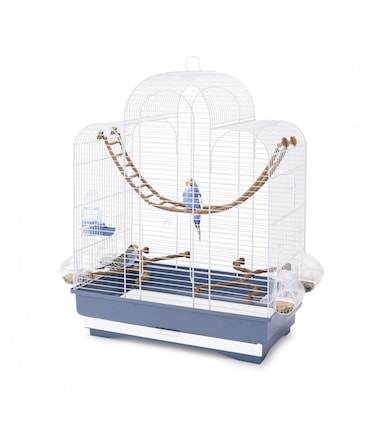 IMAC FIONA Bird Cage &ndash; Stylish Habitat for Canaries, Parakeets &amp; Exotic Birds with Comfortable Vertical Space (50 x 30 x 65cm)