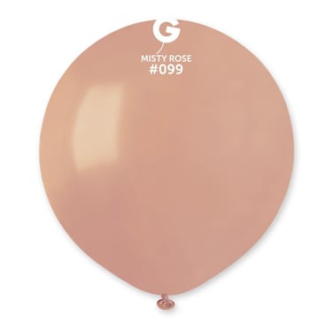 19" Standard Misty Rose Latex Balloon 10Ct