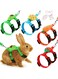 Bunny Rabbit Harness, 4 Sets Leash Set, Small Pet Cute Vest Harness Leash, with Decorations for Bunny Kitten Puppy, Small Pets (Fruit)