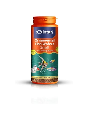 Growel Intan Ornamental Fish Wafers (0.9mm Small Slow Sinking)   180gm - Highly Nutritious Ornamental Fish Food for Angels, Gouramis, Goldfish, Barbs &amp; Rainbows