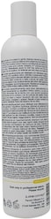 Milk_Shake Color Maintainer Shampoo 300Ml