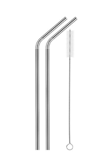 Straw With Cleaning Brush Silver