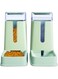 hipidog Automatic Cat Feeder and Cat Water Dispenser in Set 2 Packs Automatic Dog Feeder and Dog Water Dispenser 1 Gallon for Small Medium Big Dog Pets Puppy Kitten (green)