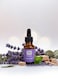 Sweet Home Essences &ndash; Lavender Fragrance Oil, 15ml   Relaxing Floral Aroma for Diffusers, Candles &amp; Home Fragrance   Pure Calming Lavender Essential Scent for Stress Relief &amp; Peaceful Ambience