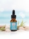 Sweet Home Essences &ndash; Ocean Paradise Fragrance Oil, 15ml   Refreshing Long-Lasting Marine Aroma for Home, Office &amp; Diffusers   Clean, Cool &amp; Invigorating Scent Inspired by Ocean Breeze &amp; Serenity