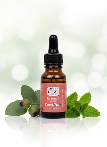 Sweet Home Essences &ndash; Eucalyptus Fragrance Oil, 15ml   Refreshing Herbal Aroma for Diffusers, Candles &amp; Home Fragrance   Invigorating Minty Eucalyptus Oil for Energy, Clarity &amp; Natural Freshness