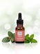 Sweet Home Essences &ndash; Eucalyptus Fragrance Oil, 15ml   Refreshing Herbal Aroma for Diffusers, Candles &amp; Home Fragrance   Invigorating Minty Eucalyptus Oil for Energy, Clarity &amp; Natural Freshness