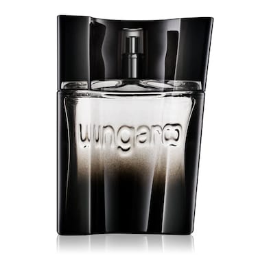 Emanuel Ungaro Ungaro Masculin For Men Eau De Toilette 50ml
