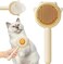 FCfit Magic Pet Comb, Pet Hair Cleaner Brush, Cat Grooming Brush with Release Button, Cat Brush for Shedding Long or Short Hair Cats Dogs Pet Massage Brushes, Self Cleaning Slicker Comb