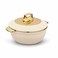 Globus Casserole Dlx 1600 Ml - Assorted   Super PU Insulation Hot Pot with Stainless Steel Inner Casing   Serving Dishes with Lids   Hot Food Storage Container &amp; Warmers