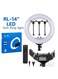 Adjustable Ring Light with Tripod Stand for Live Streaming