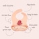 Sassi  Silicone Bib &ldquo;Slurpy the Octopus&rdquo; &ndash; Waterproof Baby &amp; Toddler Feeding Bib with Food Catch Pocket