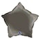 18" Star Rainbow Holographic Platinum Grey
