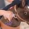 PonyCycle Kids Riding Horse Choco Brown - Small