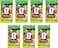 Panini FIFA World Cup 2026 Ecoblister