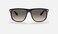 Ray-Ban Unisex RB4147 601/32 56-15 145 2N Sunglasses