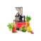 500W Slow Juicer Machine, High Yield Cold Press Juicer Blender for Fruits and Vegetables, Efficient
