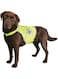Trixie Safety Vest for Dogs - MEDIUM