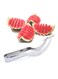 Steel Watermelon Slicer Silver 18x3x3cm