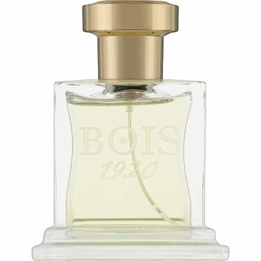 Bois 1920 Elite I Unisex Parfum 100ml