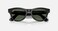 Ray-Ban Meta Skyler (Size 52) Shiny Smart AI Glasses for Men and Women - Shiny Black / G15 Green (International Version)
