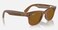 RayBan Meta Wayfarer Smart Glasses Polarized Brown Lenses (Medium Size) - Shiny Caramel