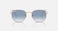 Ray-Ban HEXAGONAL RB3548 Irregular Style Sunglasses