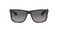 Ray-Ban RB4165 Men's Sunglasses