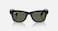Ray-Ban Meta Wayfarer Large (Gen 2) glasses with Meta AI, Audio, Photo, Video Compatability (Size 53) - Green lenses - Shiny Black (International Version)