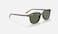 Ray-Ban RB2193 LEONARD 902/31 53-18 145 3N Square StyleSunglasses