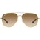 Ray-Ban RB3683 Unisex Sunglasses