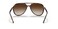 Ray-Ban RB4376 Unisex Sunglasses