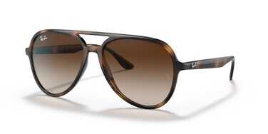 Ray-Ban RB4376 Unisex Sunglasses