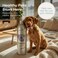 O2 PETS Omega Gold Skin — Wild Caught Norwegian Salmon Oil for Dogs & Cats, Liquid Omega 3 Food Topper, Skin & Coat Support (250 ml)