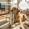 O2 PETS Omega Gold Joint — Wild Caught Norwegian Salmon Oil for Dogs & Cats, Liquid Omega 3 Food Topper, Joint support, Skin & Coat Health (250ml)