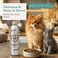 O2 PETS Omega PLATINUM Cat and Dog Wild Caught Norwegian Salmon Oil Supplement &ndash; Omega 3 for Digestion, Oral Care and Immunity (500 ml)