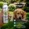 O2 PETS Omega PLATINUM Cat and Dog Wild Caught Norwegian Salmon Oil Supplement &ndash; Omega 3 for Digestion, Oral Care and Immunity (500 ml)