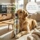 O2 PETS Omega PLATINUM Cat and Dog Wild Caught Norwegian Salmon Oil Supplement &ndash; Omega 3 for Digestion, Oral Care and Immunity (500 ml)