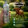 O2 PETS Omega Gold for Puppy & Kitten — Wild Caught Norwegian Salmon Oil, Liquid Omega 3, Protection System Cognitive Abilities (50 ml)